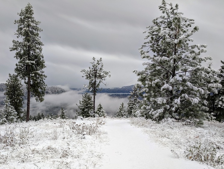 Snowy view